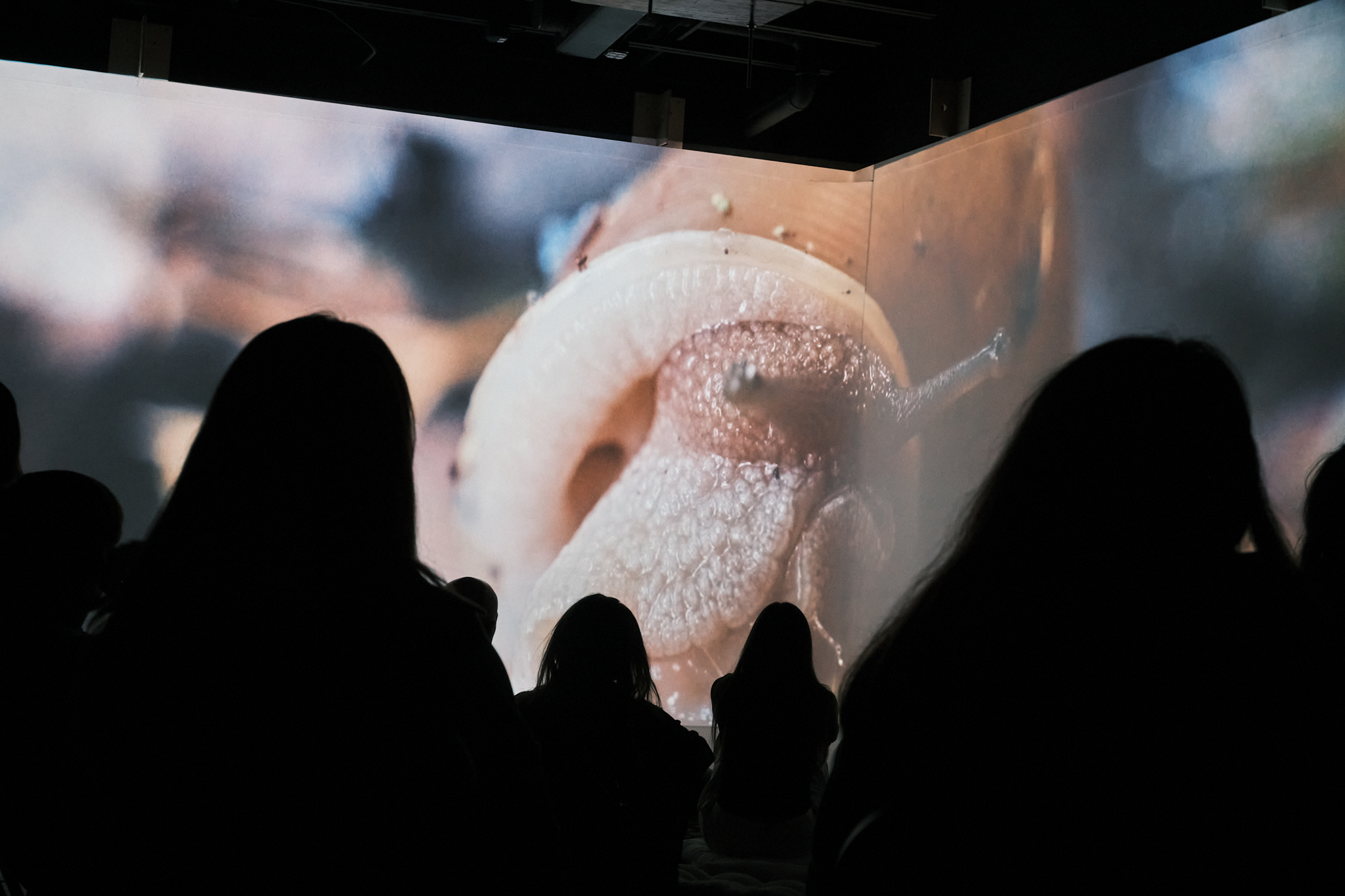Inside the experience