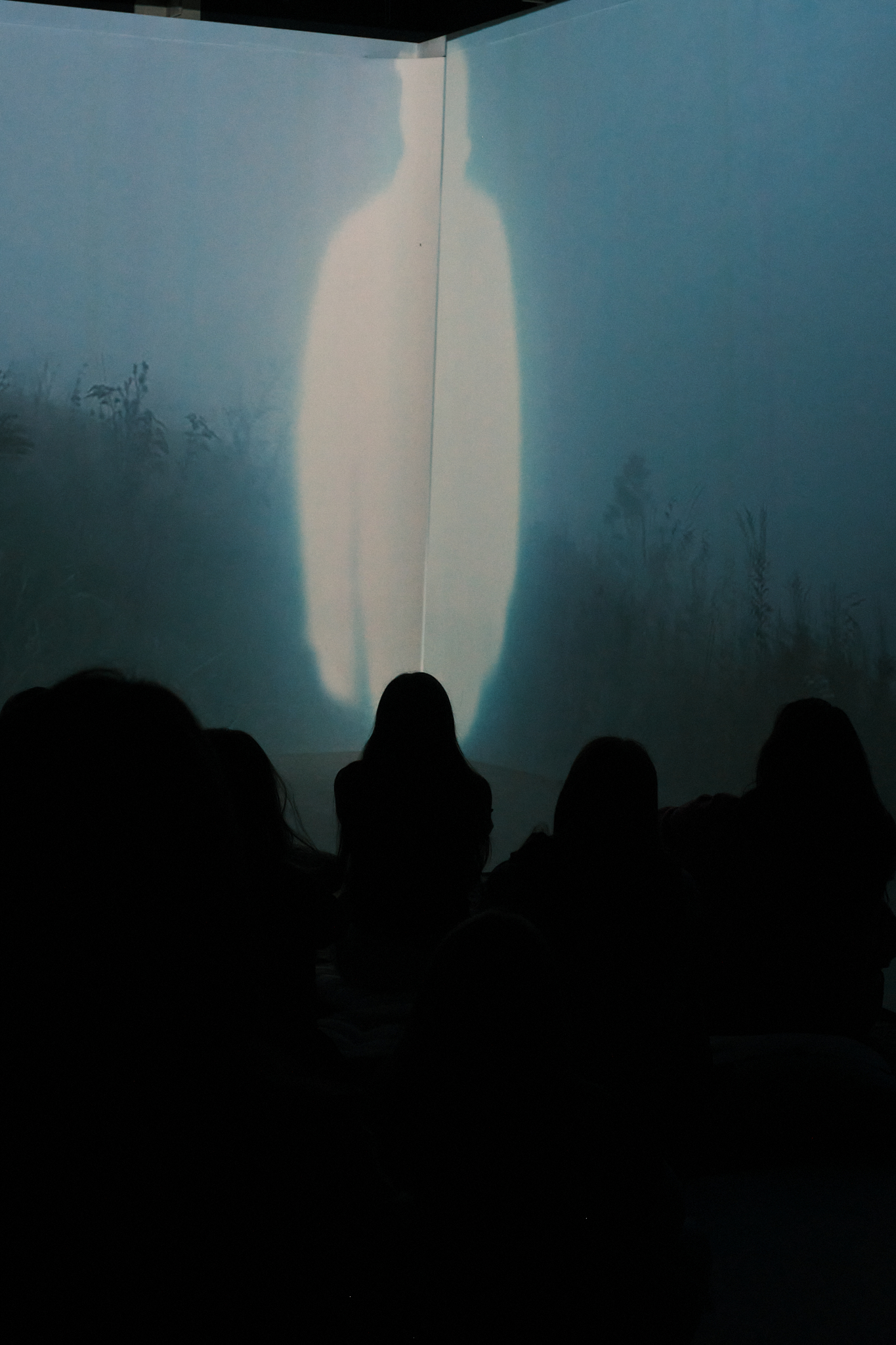 Silhouettes in the experience